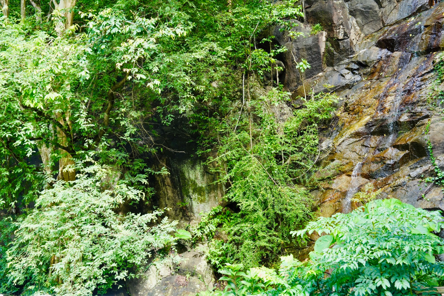 Khao Toh Sae